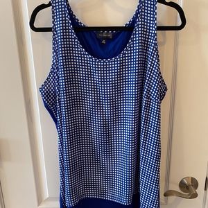 The Limited Blue and White Gingham Tank Top